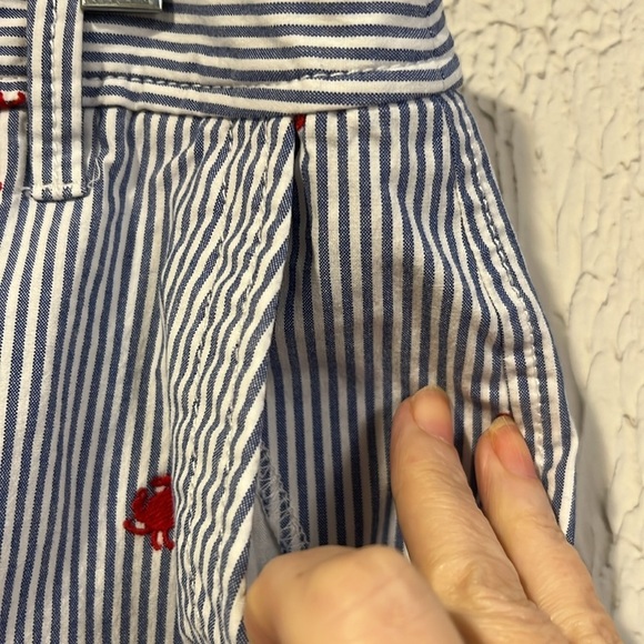 Talbots Girlfriend Chino Crab embroidered pinstriped shorts size 10 - Picture 6 of 9